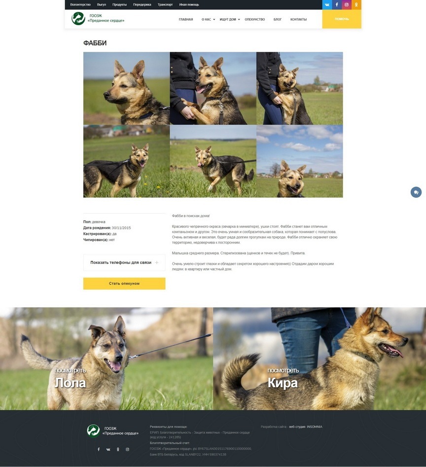 Сайт для ГООЗЖ «Преданное сердце»