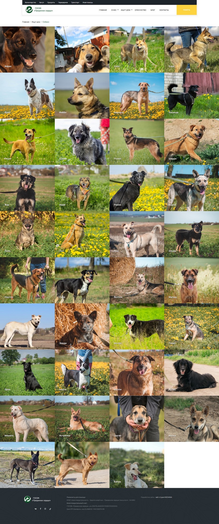 Сайт для ГООЗЖ «Преданное сердце»