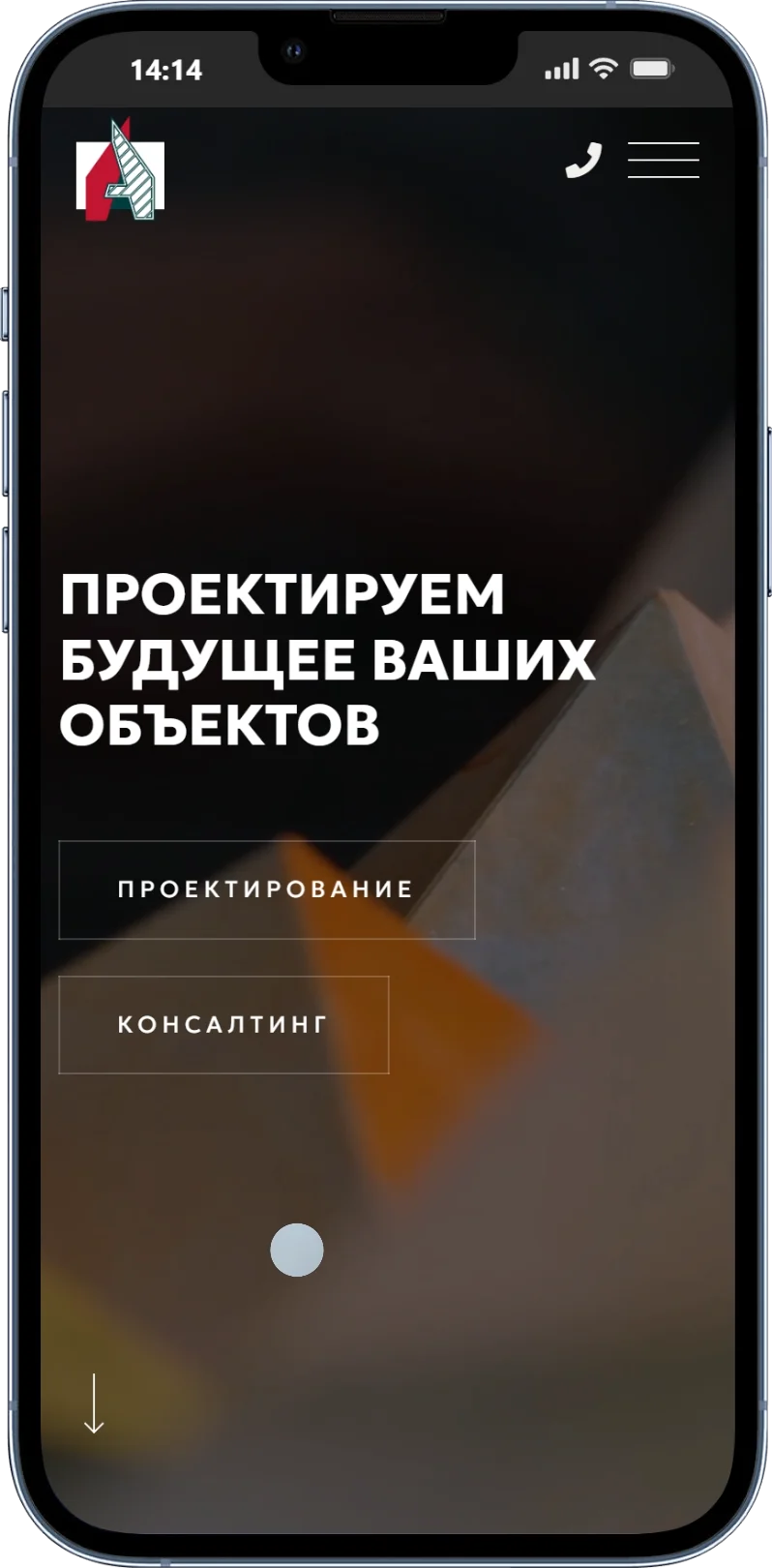 Проектная организация