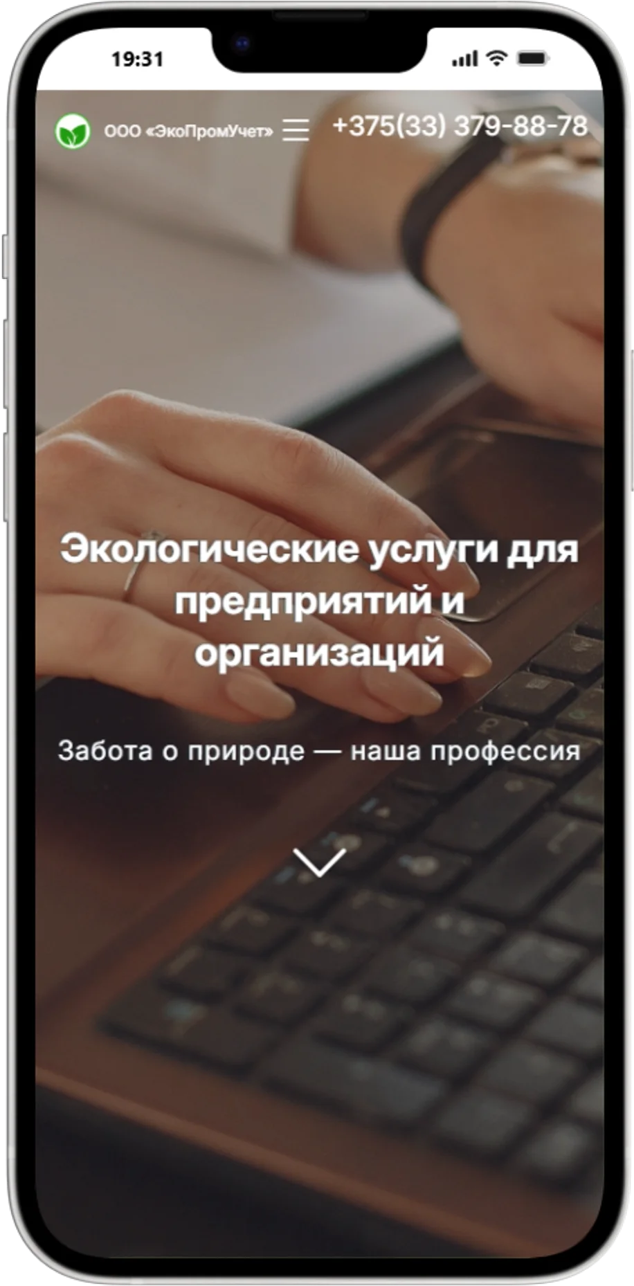 Экологические услуги для организаций